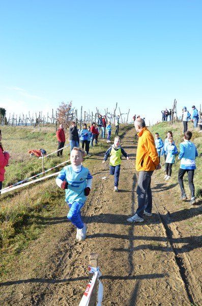 Tek Biljanski gri 269 i 031